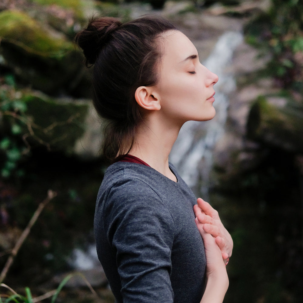Sea Moss benefits for menopause