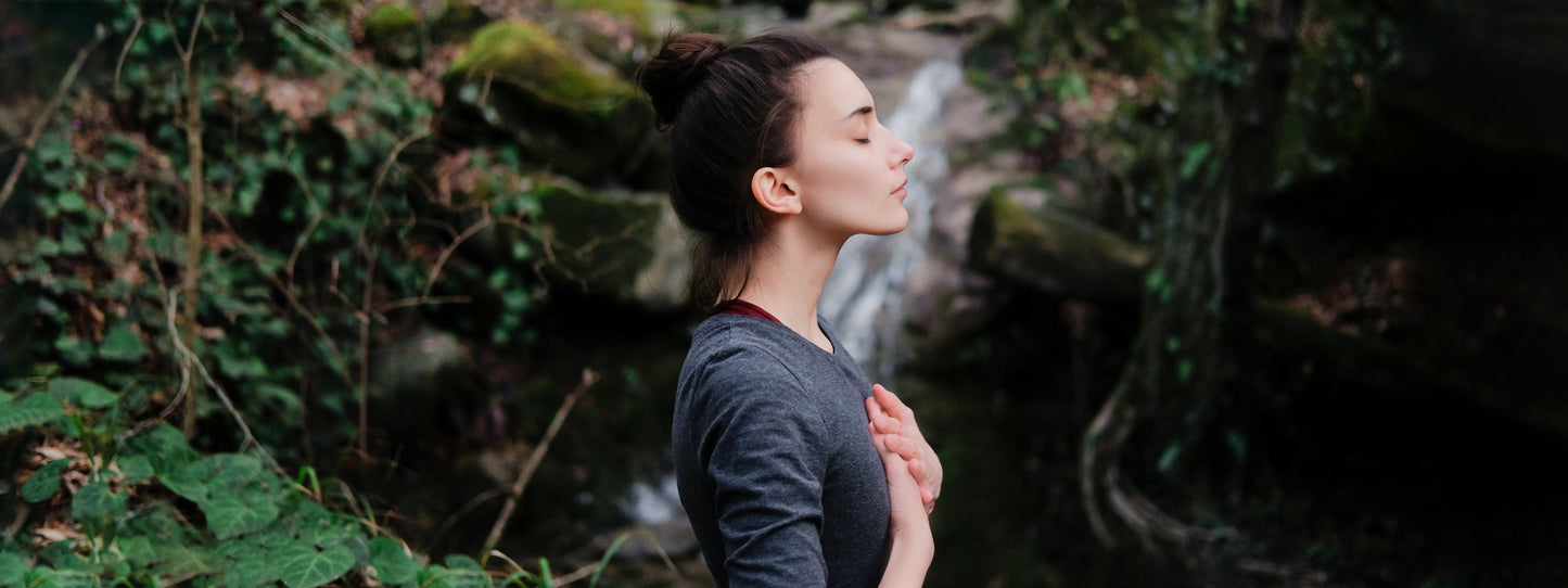 Sea Moss benefits for menopause