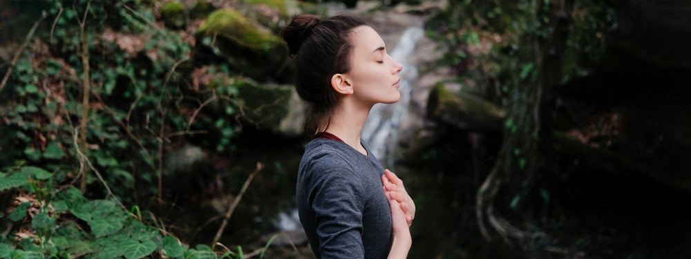 Sea Moss benefits for menopause