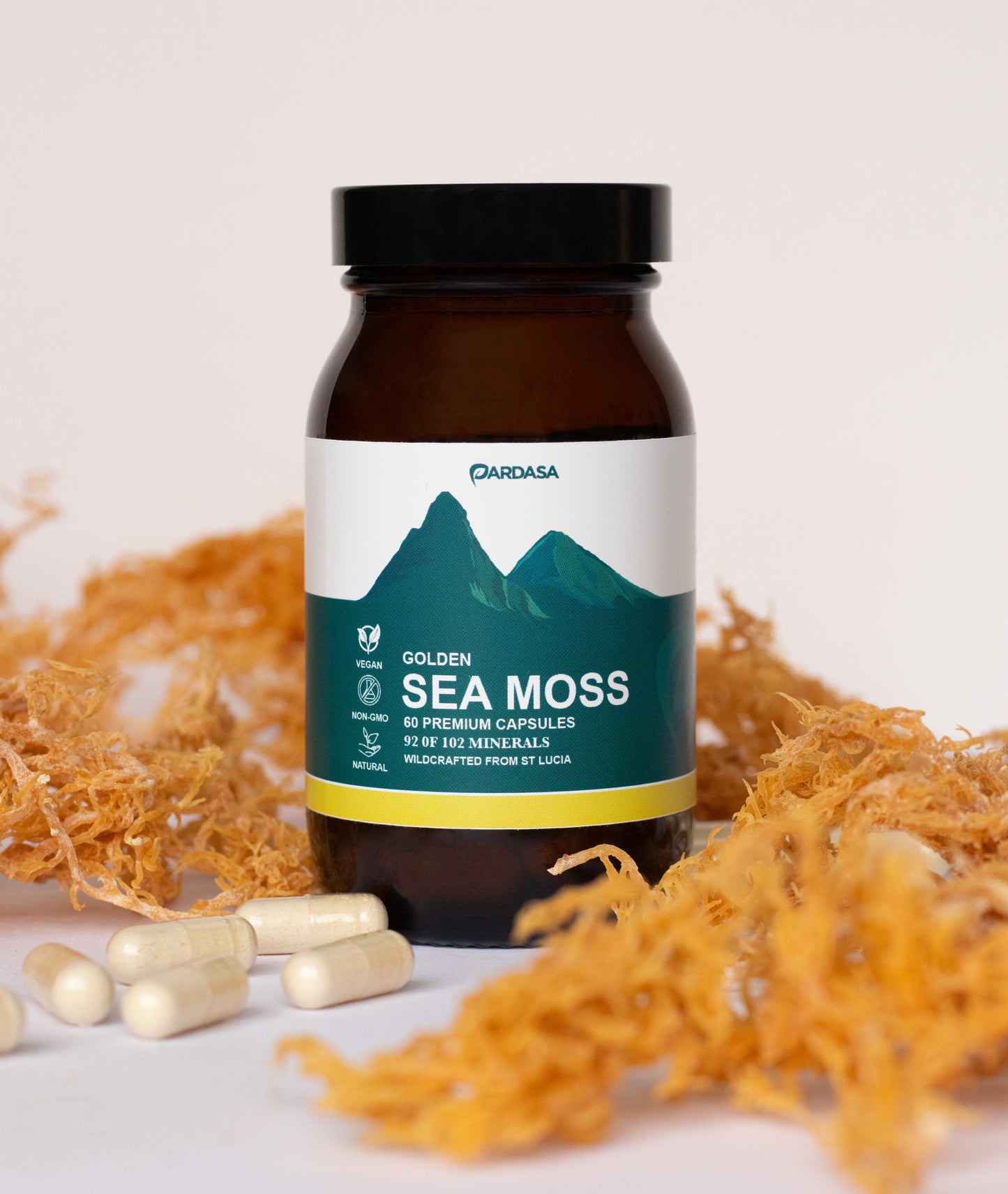 
                  
                    Golden Sea Moss Capsules (60)
                  
                