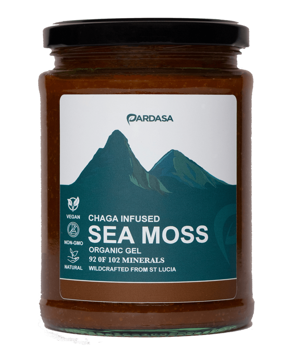 Organic Sea Moss x Chaga Gel