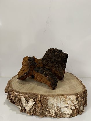 
                  
                    Organic Chaga Powder
                  
                